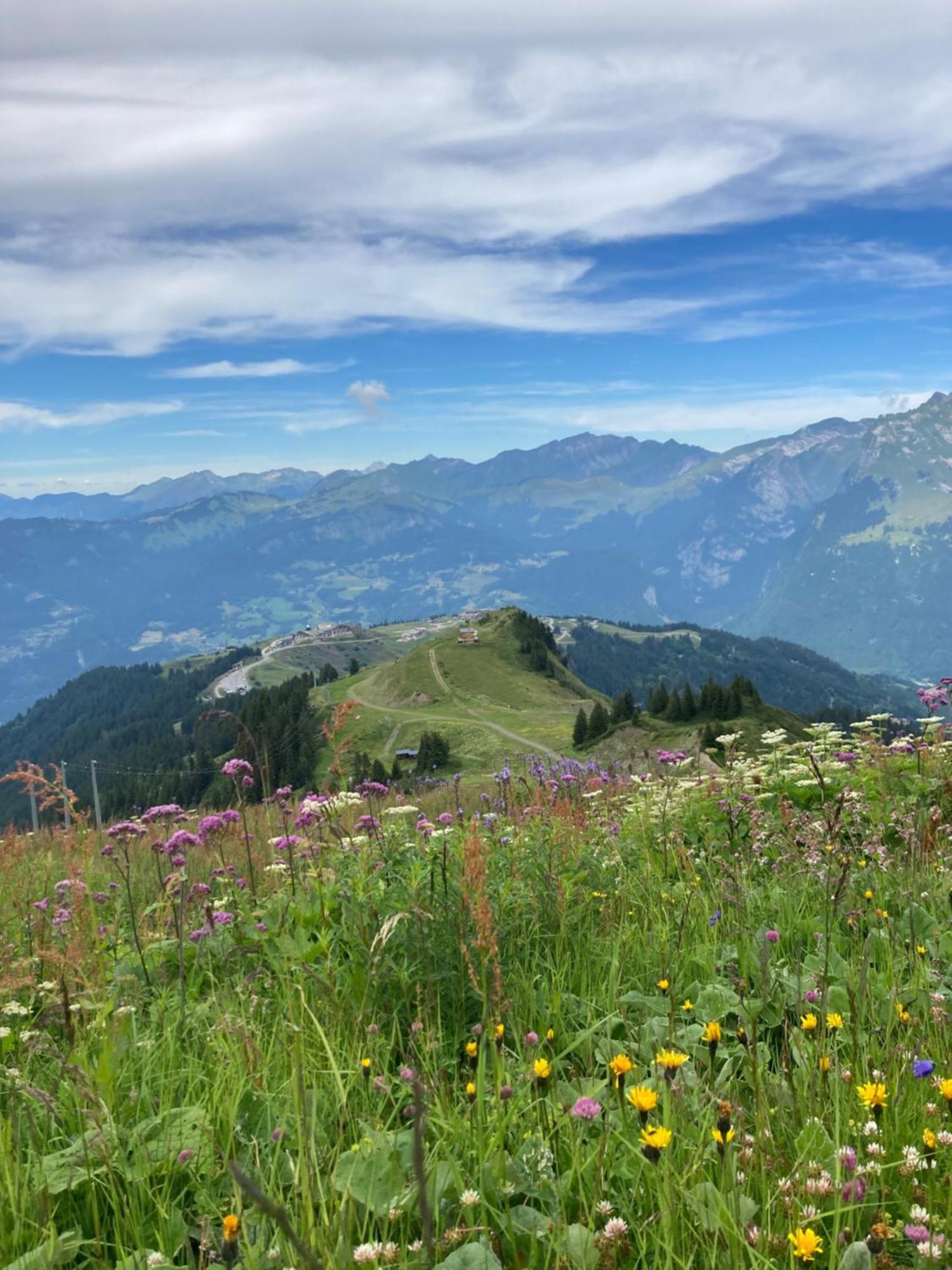 Plein Soleil Modern 3 Bedroom Apartment With Stunning Mountain Views Samoens Ngoại thất bức ảnh